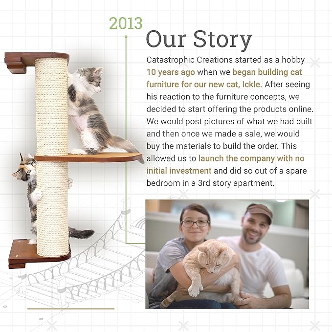 CatastrophiCreations Cat Lounge Hammock Wall Mounted Lounger for Climb and Play Furniture Cat Tree Shelve