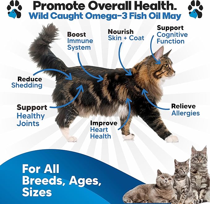 Omega 3 Fish Oil for Cats - Better Than Salmon Oil - Kitten & Cat Vitamins and Supplements - Cat Dandruff Treatment - Liquid Fish Oil for Pets - Shedding Support - Cat Health Supplies for All Ages