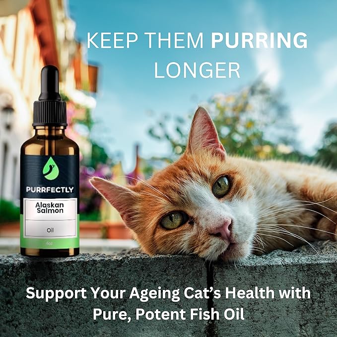 PURRFECTLY Omega-3 Fish Oil for Cats | Premium Senior Blend | Promotes Heart, Immune, Coat & Joint Health | Advanced Alaskan Salmon Oil for Aging Cats | Omega 3, 6 & 9 EPA & DHA (118 Servings)