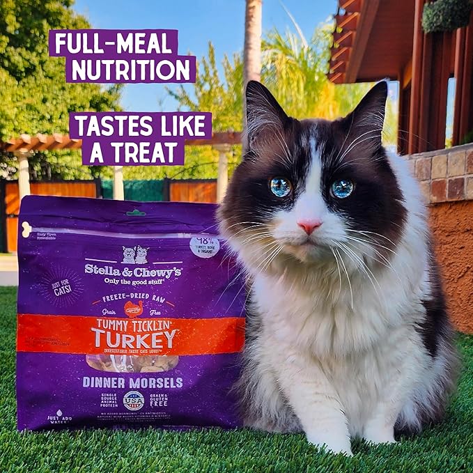 Stella & Chewy’s Freeze-Dried Raw Cat Dinner Morsels – Grain Free, Protein Rich Cat & Kitten Food – Tummy Ticklin’ Turkey Recipe – 3.5 oz Bag