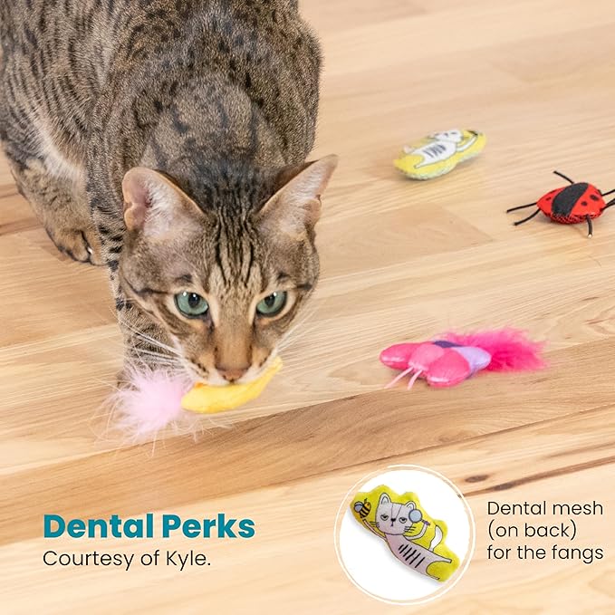 Catstages Cute As A Bug Plush Interactive Cat Toys, Bug Themed Kicker Catnip Toys with Feathers, Crinkle, Mesh, 6pk, Small, Multicolored