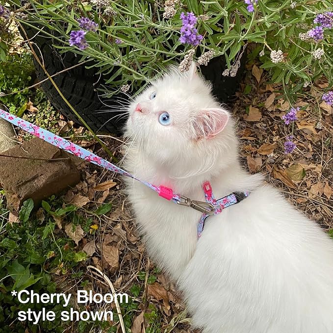 Max and Molly Adjustable Cat Harness and Leash Set - Escape-Proof Cat Harness with Leash for Outdoor Walking and Exploring, Soft Padded Double Stitched Fabric (Tropical)