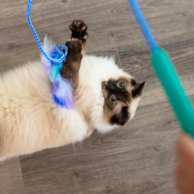 Catstages Tail Teaser Air Prey Play Wand with Catnip Toy Attachments Interactive Cat Wand