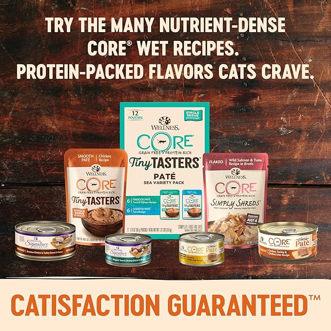 Wellness CORE Tiny Tasters Pate Adult Wet Cat Food, Natural, Protein-Rich, Grain Free, 1.75-Ounce Pouch, 12 Pack, (Duck Pate)