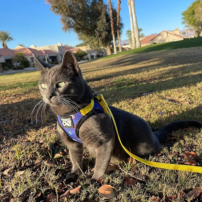 Travel Cat Harness and Leash Set - Adjustable Fit Mesh Cat Harness and Reflective Strap - Comfort Escape Proof Harness for Cats, Kitten for Outdoor Walking, Hiking (X-Small, 90s Cat)