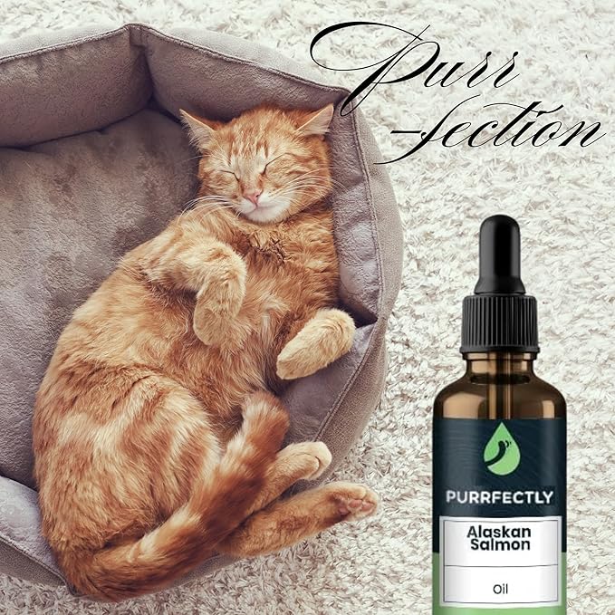 PURRFECTLY Omega-3 Fish Oil for Cats | Premium Senior Blend | Promotes Heart, Immune, Coat & Joint Health | Advanced Alaskan Salmon Oil for Aging Cats | Omega 3, 6 & 9 EPA & DHA (118 Servings)