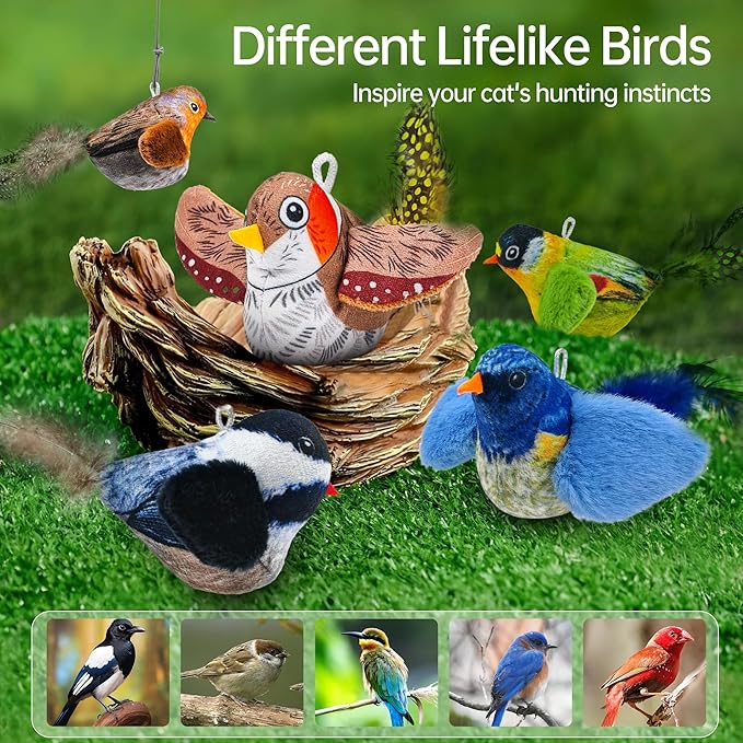 Chirping Bird Cat Toys Hanging Cat Feather Toy - Catnip Interactive Cat Toys for Indoor Cats - Automatic Cat Toy for Cat Exercise & Kicker to Self Play (Gray New)