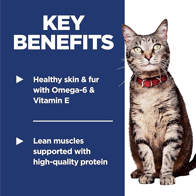 Hill's Science Diet Adult 1-6, Adult 1-6 Premium Nutrition, Dry Cat Food, Salmon & Brown Rice, 3.5 lb Bag