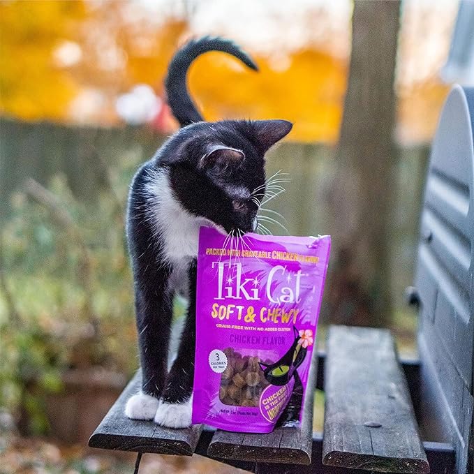 Tiki Cat Soft & Chewy Treats, Chicken Flavor, 3 Calories Per Treat with Grain-Free and No Added Gluten, 2 oz Pouch (Pack of 1)