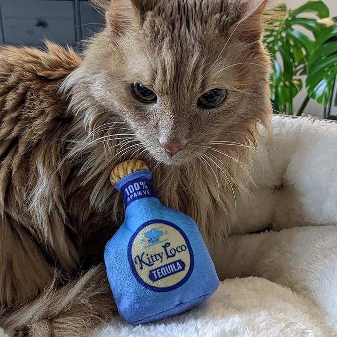 Huxley & Ket Plush Cat Toy | Kitty Loco Tequila | Nappy Hour Strong Catnip Filled Cat Toy | Plush Interactive Kitten and Cat Toy with Catnip and Crinkle | Kittybelles