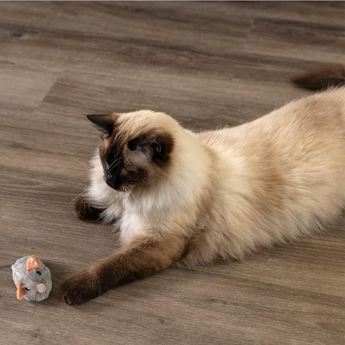 Catstages Squeak Squeak Mouse Plush Catnip Cat Toy
