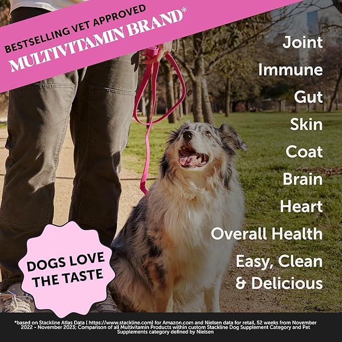 Pet Honesty Dog Multivitamin Supplement with Salmon Oil for Dogs - Allergy Itch Relief, Digestion, Skin & Coat Health, Liquid Supplement - Dog Food Topper Bone Broth with Prebiotics (12 oz)