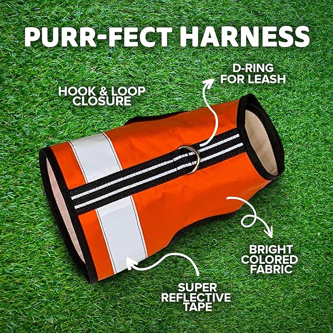Reflective Cat Harness - High-Visibility Cat Vest for Day & Night | Secure, Breathable and Washable Cotton | Ideal for Walking & Traveling - Outrageous Orange, XL