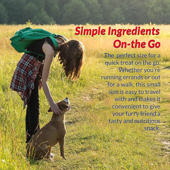INABA Churu Meal Topper for Dogs, Complete & Balanced, Creamy, Lickable Purée Dog Food Toppers, 1.69 Ounce Tube, 9 Tubes (3 per Pack), Chicken with Pumpkin Recipe