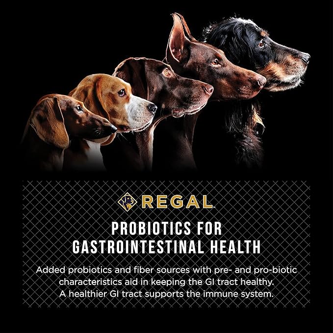 Adult Farmhouse Recipe (Chicken and Duck) All Natural, Slow Cooked Whole Grain Dry Dog Food for All Breeds and Sizes of Adult Dog - Made in The USA, 26 LB Bag
