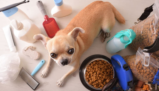 The Ultimate Pet Supply Checklist: What Every New Pet Parent Needs