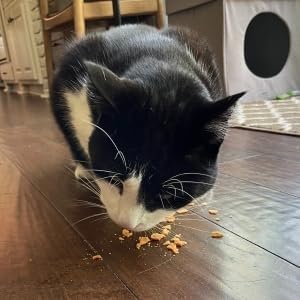 Farm To Pet Cat Treat Crumbles | Single Ingredient Turkey Cat Treats, Turkey Snacks - Healthy Cat Treats for Indoor Cats | Turkey Kitten Treats - Essential Cat Products (Mix with Wet or Dry Cat Food)