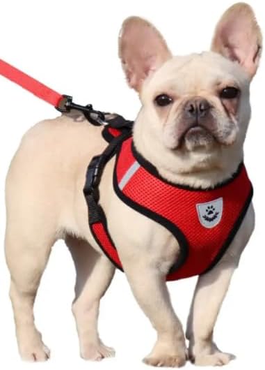 Step-in Dog, Cat, and Puppy Harness and Leash | All Weather Mesh | Reflective Harness & Leash for Small Dogs and Cats (Red, Small)