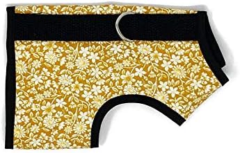 Cat Harness, Medium/Large, Blooming Gold