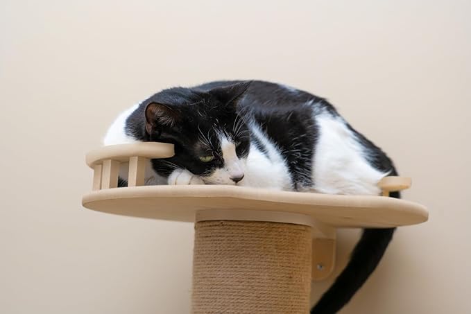 On2Pets Skyline Premium Sisal Cat Scratcher (Wall-Mounted 5 Level Cat Activity Tree)