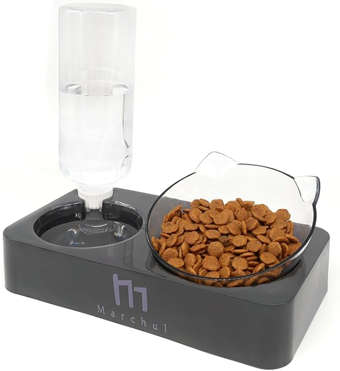 Marchul Tilted Cat Bowl Set for Food and Water, Food Feeding Raised Dishes for Puppies,Black