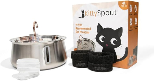 The KittySpout Stainless Steel Cat Water Fountain 2.0, 4L/135oz