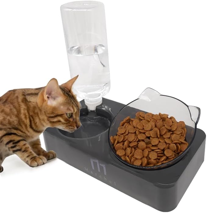 Marchul Tilted Cat Bowl Set for Food and Water, Food Feeding Raised Dishes for Puppies,Black