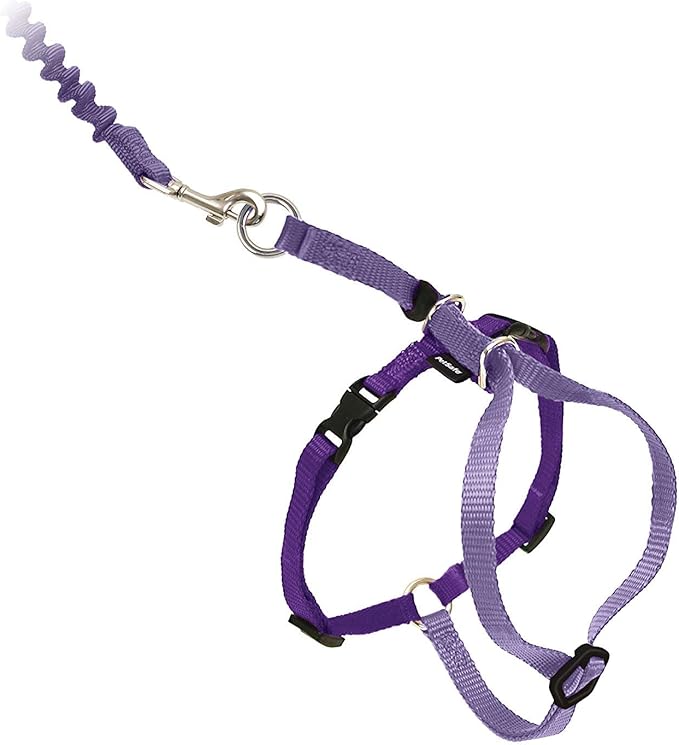PetSafe Come with Me Kitty Harness and Bungee Leash, Large, Lilac