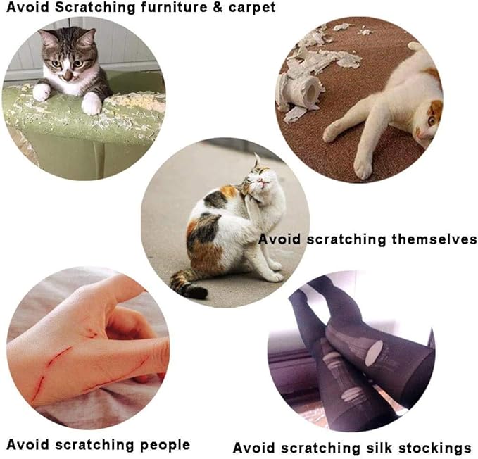 100pcs Cat Nail Caps Clear Cat Paw Covers Kitten Nail Caps Pet Tips with Adhesives and Applicators Small