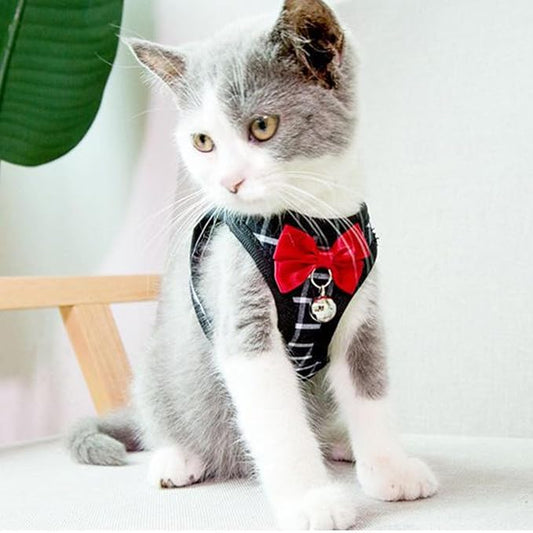 Cat Leash and Harness Set,Breathable Dog Harness,Pet Harness,Adjustable Mesh cat Harness and Leash Escape Proof for Puppy Cat Rabbit (Black, XS)