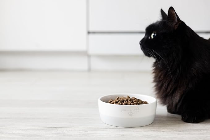 Pearhead Paws Off Ceramic Cat Bowl, Holds 1.3 Cups, Small Food and Water Bowl for Cats, Pet Dish, Microwave and Dishwasher Safe