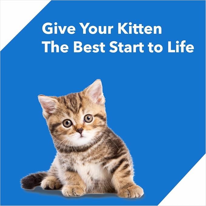 Drools Kitten Dry Cat Food, Ocean Fish Flavour 1.2Kg with Free Container Pack