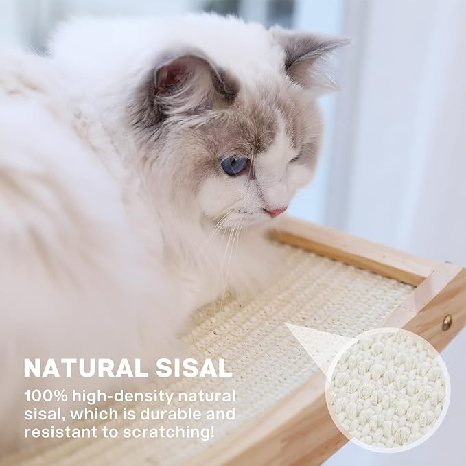 Pecute Cat Window Perch Sisal Cat Scratcher 2 in 1, Cat Hammock for Window Seat with Solid Wood Frame, Iron Bracket, and Heavy Duty Suction Cups, Cat Perch Holds Cats Up to 30lbs