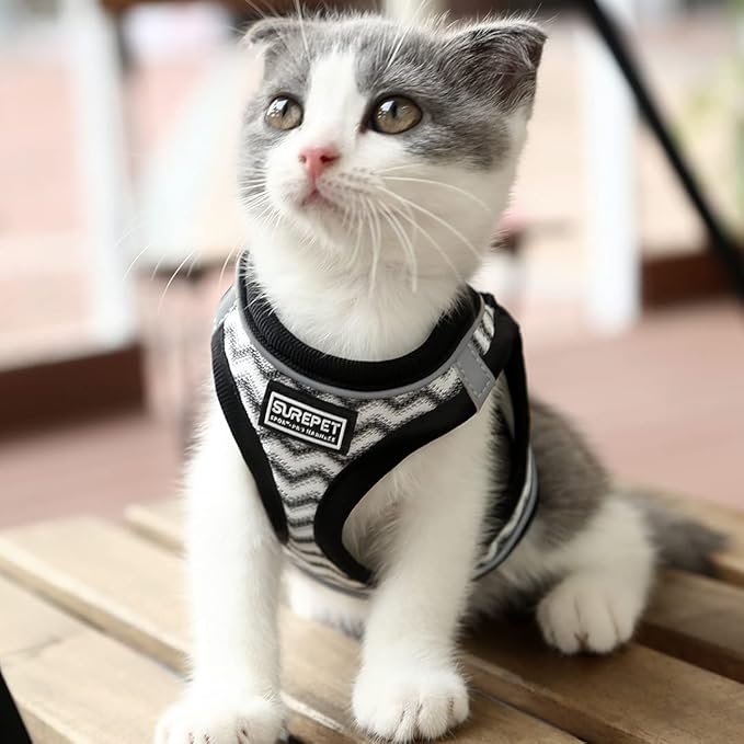 Soft Mesh Dog Harness and Leash Set, Step-in Reflective Breathable Comfort Padded Quick Dry Pet Puppy Vest Harness for Extra-Small/Small Medium Dogs and Cats (White, L)