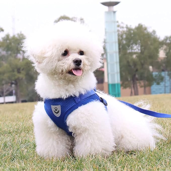 Comfort Step-in Cat Dog Harness and Leash Set for Puppies Cats Kitty Escape Proof Pet Vest Harnesses for Small Animals Rabbit/Mouse/Cats (M:3-4.5KG, Blue)