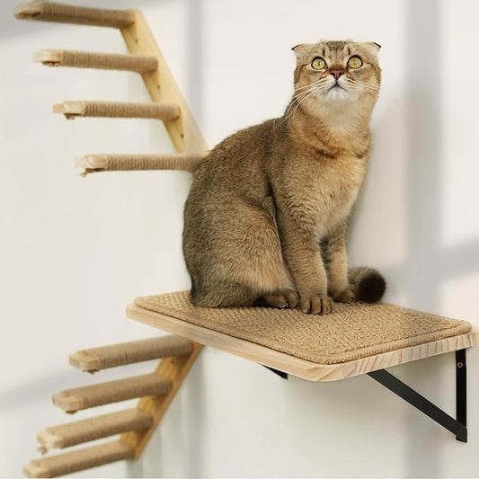 Strong Cat Shelves Stairs for Wall Mounted, 1P Cat Shelf& 2PCS 4 Steps Cat Stairway with Sisal Rope Scratching for Cats Perch Platform, Cat Wall Ladder Cat Wall Furniture