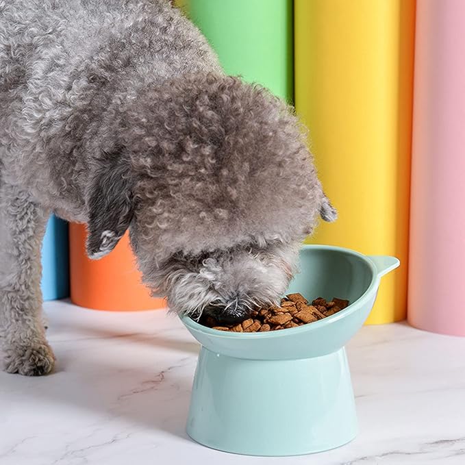 Tilted Elevated Cat Food Bowl - Cat Bowls Whisker Friendly Anti Vomiting Slanted Cat Feeding Bowls Cute Shallow Cat Bowl (Tall Cat Bowl-Green)