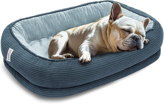 Miguel Orthopedic Dog Bed for Medium Small Dogs, Memory Foam Pet Bed Washable Removable Cover, Calming Puppy Bed with Sides, Dog Couch Comfort Sofa, Egg Foam Support, Non-Slip Bottom, Blue 24 inches