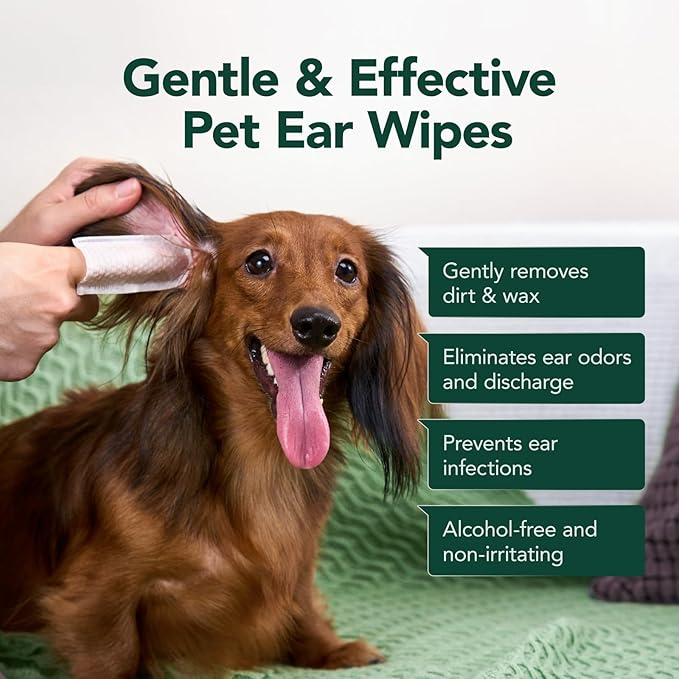Dog Ear Cleaner Finger Wipes - Gently Remove Ear Wax & Debris, Relieve Ear Itching & Inflammation - Soothing Cleansing Deodorizing Ear Care Wipes for Cat and Dog (50 Pcs, Lavender)