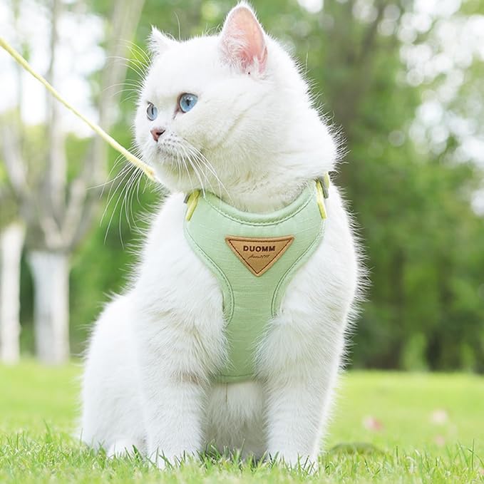 Escape-Proof Cat Harness and Leash Set - Adjustable and Comfortable - Ideal for Walking Cat Outdoors - Fits Kittens, Medium, and Large Cats (Green, S)