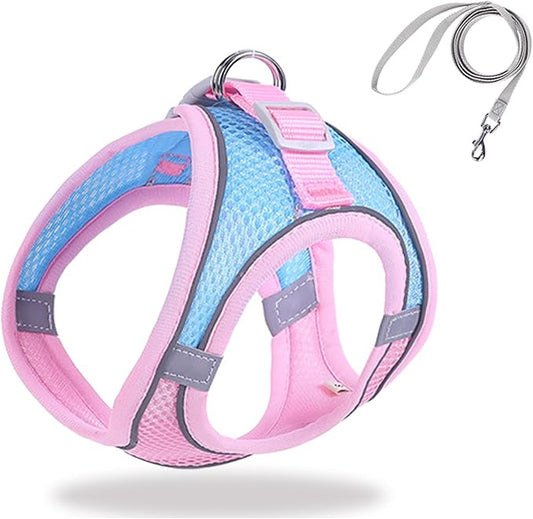 Cat Harness and Leash Set Soft Adjustable Escape Proof Cat Leash Breathable Comfortable Vest Easy to Wear Kitten/Small Dogs Harness for Outdoor Walking Blue XS