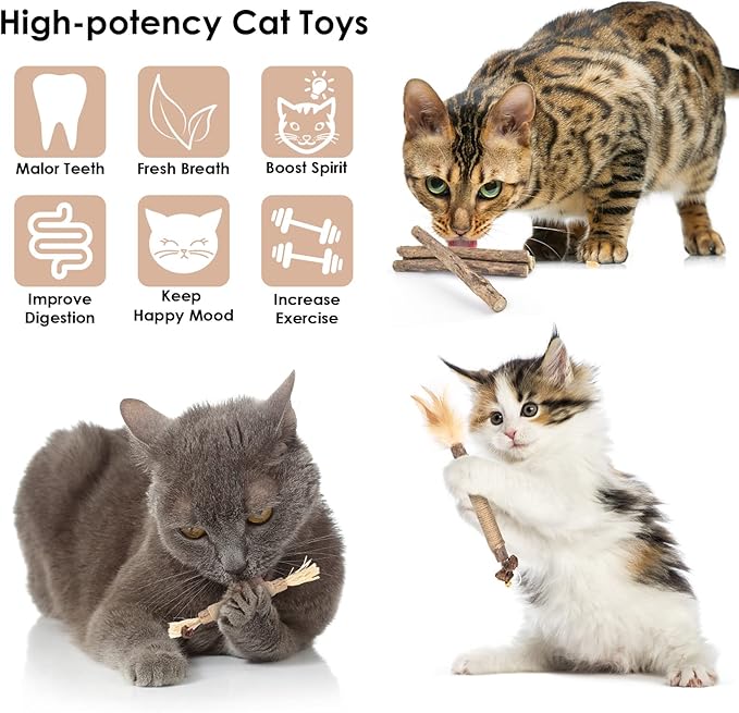 Bissap 10 PCS Silvervine Chew Sticks for Cats, Catnip Chew Sticks Cat Toys for Indoor Cat Kitten Teeth Grinding Interactive Feather Toys for Aggressive Chewers Dental Care