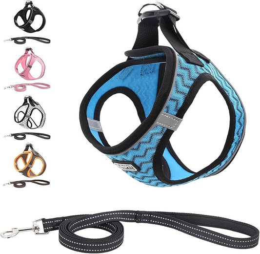 Soft Mesh Dog Harness and Leash Set, Step-in Reflective Breathable Comfort Padded Quick Dry Pet Puppy Vest Harness for Extra-Small/Small Medium Dogs and Cats (Blue, XXS)