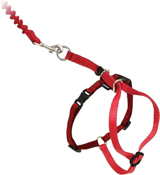 PetSafe Come with Me Kitty Harness and Bungee Leash, Large, Red