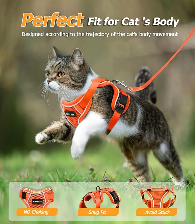 Halypet Cat Harness and Leash Set [MAX Safety 4th-Gen Upgrade] Escape Proof Adjustable Cat Leash Comfortable Soft Vest Easy to Wear Kitten Harness with Reflective Strip for Cats Walking, XS Orange