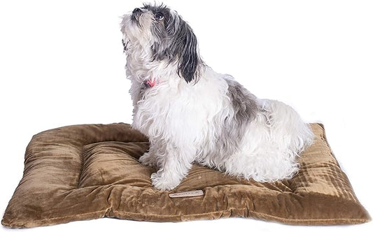 Armarkat Pet Bed Mat 27-Inch by 19-Inch by 2.5-Inch M01-Medium, Sage Green (Model: M01CHL-M)