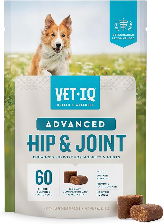 VetIQ Advanced Hip & Joint Chews For Dogs, 60 Count, Chicken Flavored Supplements Made with Glucosamine, Omega 3’s, Chondroitin, MSM, and Green Lipped Mussel, Increases Mobility and Maintains Muscles