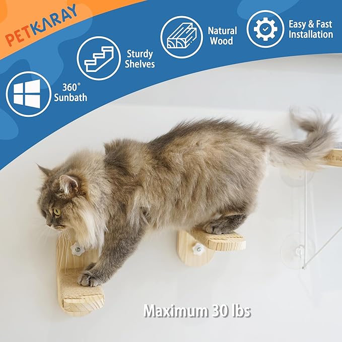 PETKARAY Cat Window Shelf, Original Cat Window Perch Stairs, Durable Cat Seat for Window Sill, Sturdy Window Step for Indoor Cats
