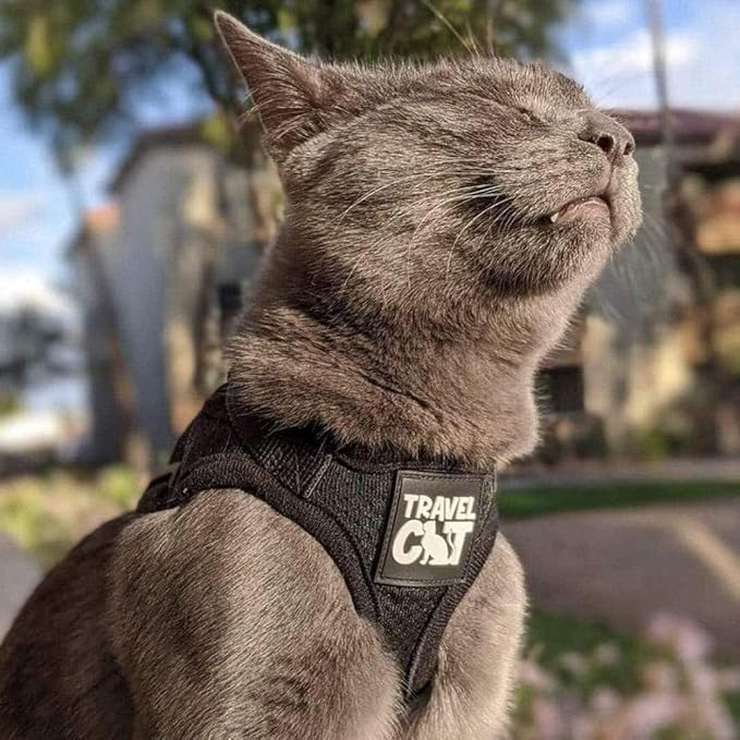 Travel Cat Harness and Leash Set - Adjustable Fit Mesh Cat Harness and Reflective Strap - Comfort Escape Proof Harness for Cats, Kitten for Outdoor Walking, Hiking (Medium, Black)