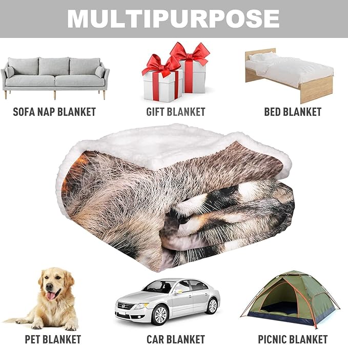 Raccoon Sherpa Blanket, Animal Print Fleece Throw Blankets for Couch Sofa Bed, Super Soft Warm and Lightweight, 60" x 80"